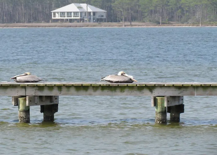 Surf And Racquet Club 211a King Bd Boat Launch Trailer Parking Apartment Gulf Shores